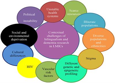 Bilingualism: A Global Public Health Strategy for Healthy Cognitive Aging